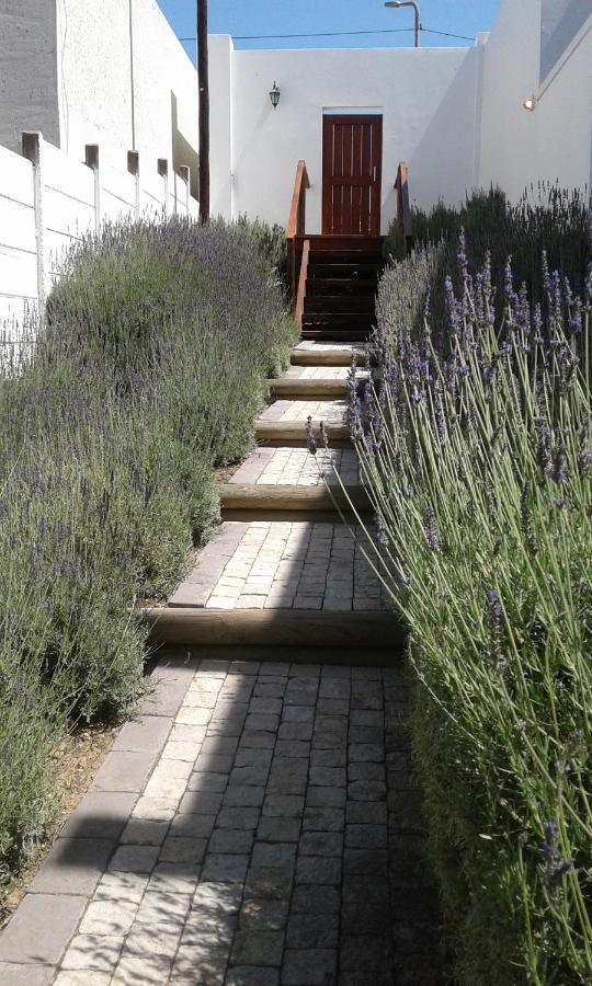 Lavandula Manor Self-Catering 모젤베이 외부 사진